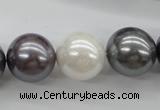 CSB1150 15.5 inches 16mm round mixed color shell pearl beads