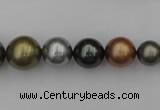 CSB410 15.5 inches 8mm - 16mm round mixed color shell pearl beads