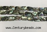 CSB4155 15.5 inches 13*18mm rectangle abalone shell beads wholesale