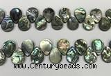 CSB4184 Top drilled 15*20mm flat teardrop balone shell beads