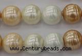 CSB624 15.5 inches 14mm whorl round mixed color shell pearl beads