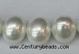 CSB825 15.5 inches 16*19mm oval shell pearl beads wholesale