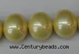 CSB832 15.5 inches 16*19mm oval shell pearl beads wholesale