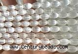 CSE634 15 inches 6*9mm rice selenite beads wholesale
