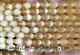 CSE734 15 inches 6*9mm rice selenite beads wholesale