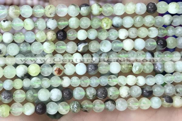 CSJ300 15.5 inches 4mm round serpentine new jade beads wholesale