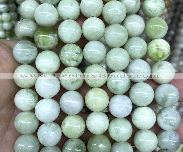 CSJ334 15 inches 12mm round Xiuyu jade beads wholesale