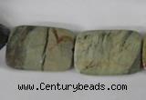 CSL121 15.5 inches 18*25mm faceted rectangle silver leaf jasper beads