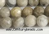 CSL157 15.5 inches 6mm faceted 

round sliver leaf jasper beads