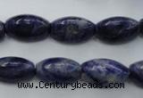 CSO359 15.5 inches 11*18mm trihedron natural sodalite beads