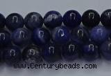 CSO611 15.5 inches 6mm round sodalite gemstone beads wholesale