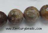 CSS101 15.5 inches 18mm faceted round natural sunstone beads wholesale