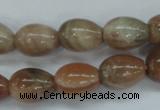 CSS248 15.5 inches 12*16mm teardrop natural sunstone beads