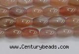 CSS265 15.5 inches 5*8mm rice sunstone beads wholesale