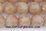 CSS792 15.5 inches 10mm round golden sunstone beads wholesale