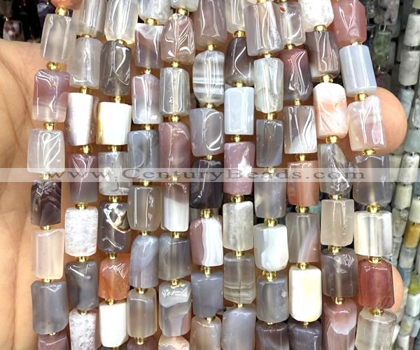 CTB1324 15 inches 6*10mm - 8*12mm faceted tube Botswana agate beads