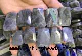 CTD2105 Top drilled 20*28mm - 22*32mm faceted freeform labradorite beads