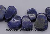 CTD377 Top drilled 10*14mm - 15*20mm freeform lapis lzuli beads