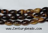 CTE157 15.5 inches 6*8mm rice yellow tiger eye gemstone beads