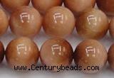 CTE1655 15.5 inches 14mm round sun orange tiger eye beads