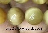 CTE2011 15.5 inches 12mm round golden tiger eye beads wholesale