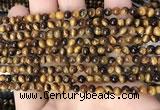 CTE2145 15.5 inches 4mm round yellow tiger eye beads wholesale