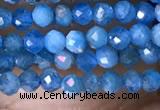 CTG1418 15.5 inches 2mm faceted round apatite beads wholesale