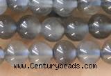 CTG1582 15.5 inches 4mm round grey moonstone beads wholesale