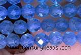 CTG1663 15.5 inches 3.5mm faceted round tiny apatite beads