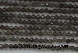 CTG200 15.5 inches 2mm faceted round tiny smoky quartz beads