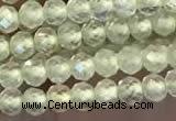 CTG2246 15 inches 2mm faceted round natural prehnite beads