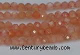 CTG610 15.5 inches 3mm faceted round golden sunstone beads