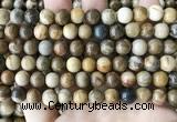 CWJ592 15.5 inches 8mm round wood jasper beads wholesale