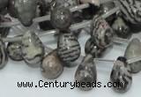 CZJ16 16 inches 8*12mm teardrop zebra jasper gemstone beads wholesale