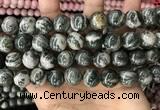 CZJ415 15.5 inches 14mm round green zebra jasper beads wholesale