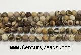 CZJ423 15.5 inches 10mm round Australian zebra jasper beads wholesale