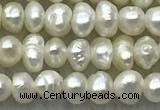 FWP07 14.5 inches 2mm - 3mm potato white freshwater pearl strands