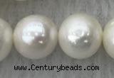 FWP105 15 inches 9mm - 10mm potato white freshwater pearl strands