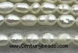 FWP154 14.5 inches 2mm - 3mm rice white freshwater pearl strands