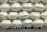 FWP157 14.5 inches 3mm - 4mm rice white freshwater pearl strands