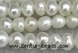 FWP16 14.5 inches 3.2mm - 3.7mm potato white freshwater pearl strands