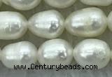 FWP174 14.5 inches 5mm - 6mm rice white freshwater pearl strands