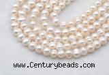 FWP481 14 inches 6mm - 7mm potato white freshwater pearl strands