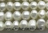 FWP51 14.5 inches 3mm - 4mm potato white freshwater pearl strands