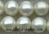 FWP72 15 inches 7mm - 8mm potato white freshwater pearl strands