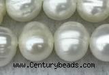 FWP84 15 inches 8mm - 9mm potato white freshwater pearl strands