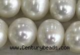 FWP90 15 inches 8mm - 9mm potato white freshwater pearl strands